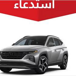 الداخلية:تنفيذ حكم القتل تعزيرًا بثلاثة جناة في نجران بعد إدانتهم بتهريب الحشيش المخدر