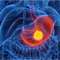 وزير الصناعة من روسيا : المملكة ريادة صناعية وتحول تقني يستشرف المستقبل من “إنّوبروم” الروسي