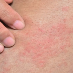 أستراليا تستضيف “تاليسمان سايبر 2025”: مناورات عسكرية ضخمة لتعزيز الأمن الإقليمي