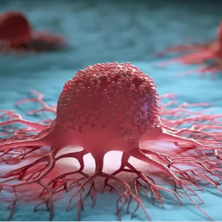 توقعات الذكاء الاصطناعي لمباراة الهلال وفلومينينسي في كأس العالم للأندية