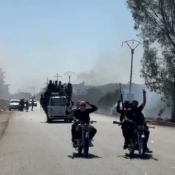 ثورة في مكافحة الفيروسات: مركبات جديدة تعزز دفاعات الخلية لمواجهة شاملة