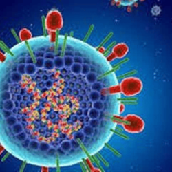 حادث مروع ينهي احتفالات “راينكيرمس”: 19 إصابة بانفجار ألعاب نارية في دوسلدورف