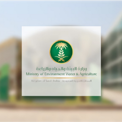 مفاجأة في جدة: بنزيما يقرر الرحيل عن الاتحاد ويرفض التجديد.. والبرتغال وجهته المحتملة