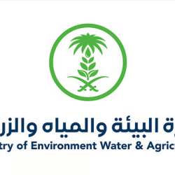 إنفاذًا لتوجيهات خادم الحرمين وولي العهد.. وصول التوأم الملتصق الجامايكي “أزاريا وأزورا إيلسون” إلى الرياض