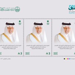 الأمن البيئي يضبط شخصًا مخالفًا لنظام البيئة بمنطقة عسير