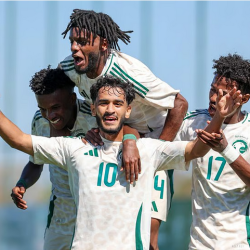 أمن عسير يوجه ضربة موجعة للمخدرات: إحباط تهريب 17 كجم من الحشيش والقات