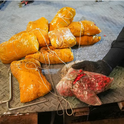 ملتقى بحريني وافتخر يعزز الهوية الوطنية و التنمية البشرية