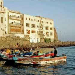 سوريا تعتقل “أخطر تجار المخدرات” بالمنطقة بالتنسيق مع تركيا