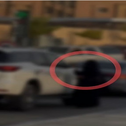 أستراليا تطوّر أول لقاح mRNA عالمي لمكافحة الحمى القلاعية لدى الأبقار