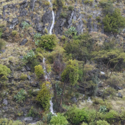 حرس الحدود بتبوك ينقذ 3 مواطنين من الغرق أثناء السباحة