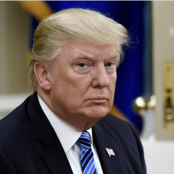 الأهلي يبدأ مشوار كأس الملك بمواجهة العربي في بريدة