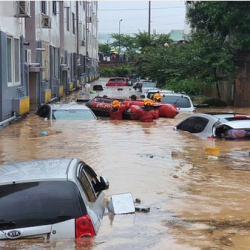 الذهب يتراجع بعد مكاسب الجمعة: انخفاض 0.3% في المعاملات الفورية