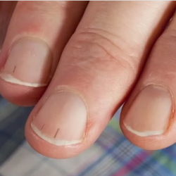 وزير الدفاع الإيطالي: سنبدأ في إسقاط المساعدات جوًا على غزة