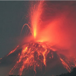 “تيسلا” مُلزمة بدفع 242 مليون دولار تعويضًا في حادث فلوريدا المميت