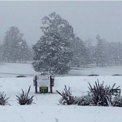 الجامعة الأمريكية بالبحرين توقع مذكرة تفاهم مع “سيسكو” لتعزيز التعليم التقني