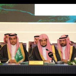 وزير الخارجية ونظيره الروسي يستعرضان هاتفيًا العلاقات الثنائية