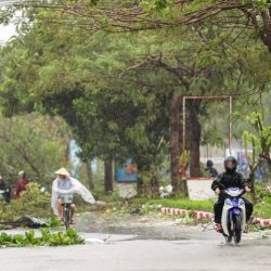 مصرع 19 شخصًا نتيجة إعصار “بوالوي” في فيتنام