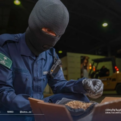 “صدى الصمت ونسمات العبور”: خواطر في وجدان الحنين