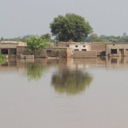 الأحساء تشارك العالم تجربتها في صون الحرف والفنون من قلب “مدن إيطاليا الإبداعية”