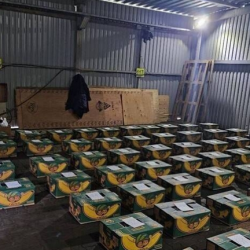 المركزي الروسي يرفع سعر صرف الدولار واليورو أمام الروبل