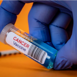 “OpenAI تنافس ‘لينكدإن’ بمنصة توظيف مدعومة بالذكاء الاصطناعي”