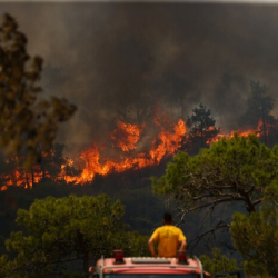 خيسوس يستبعد رباعي النصر أمام الرياض