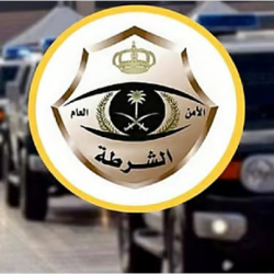 الفحص الدوري للمركبات: تأكيد من المرور على أهميته للسلامة