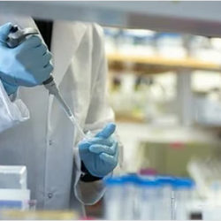 القيادة السعودية تهنئ مالطا بذكرى استقلالها