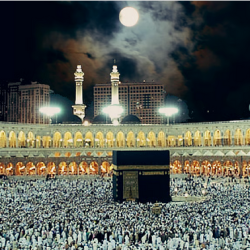 قطر تستضيف قمة عربية إسلامية طارئة الأحد المقبل