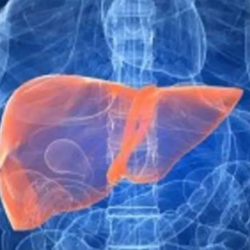 القيادة تهنئ رئيس الفترة الانتقالية رئيس الدولة في جمهورية مالي بذكرى استقلال بلاده