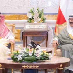 ضبط مخالفين للائحة الأمن والسلامة لمزاولي الأنشطة البحرية بالمدينة المنورة