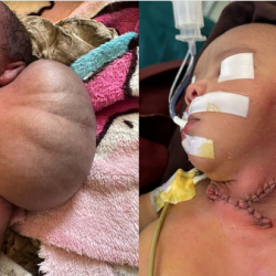 ولي العهد يتلقى اتصالًا من رئيس وزراء هولندا ويؤكد إدانة التصعيد ضد المدنيين في غزة