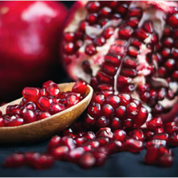 الفحص الدوري للمركبات: تأكيد من المرور على أهميته للسلامة