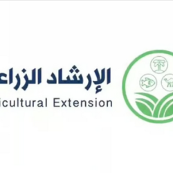 أسعار الذهب تتراجع بعد قرار الاحتياطي الفيدرالي بخفض الفائدة