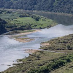 تدمير هائل: 19 قتيلاً في انفجار مصنع للمتفجرات العسكرية بولاية تينيسي الأمريكية