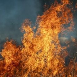 حادث غريب في نيويورك: طائرتان تابعتان لـ “دلتا” تتصادمان في مطار لا غارديا