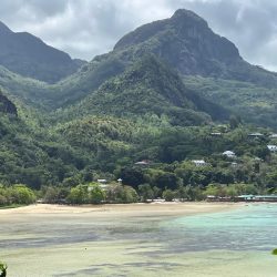 حمد بن خليفة يهنئ السعودية بلقب كأس الخليج تحت 17 عاما