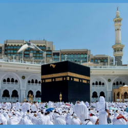 خطيب المسجد النبوي: الدعاء سلاح المؤمن وسبيل الثبات في الشدائد