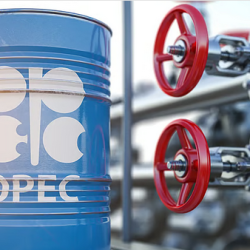 برعاية الأمير عبدالعزيز بن سعود.. انطلاق مؤتمر الإنتربول حول مستقبل العمل الشرطي بالرياض