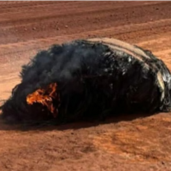 إثراء يطلق فعاليات “موسم الشتاء” بأكثر من 130 برنامجًا ثقافيًا