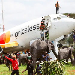 “ساما” يحصل على شهادة CIPS الدولية