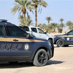 ضربة أمنية موجعة : إحباط تهريب 74 كغم حشيش و45 ألف حبة إمفيتامين والقبض على 11 متسللاً