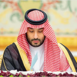 المملكة تُعرب عن قلقها الشديد وتستنكر الانتهاكات الإنسانية لقوات الدعم السريع في الفاشر