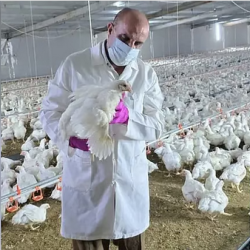 تونس تكتب التاريخ: “نسور قرطاج” يحققون إنجازاً دفاعياً فريداً ويتأهلون لمونديال 2026 بشباك لم تُهز!