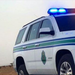 ارتفاع أسعار الذهب في المعاملات الفورية ليصل إلى 4178.15 دولارًا للأوقية