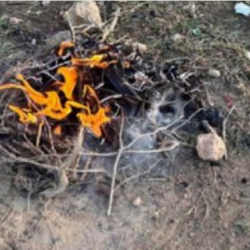 الصين تُطيح بثاني أكبر قائد عسكري و8 مسؤولين كبار بتهم فساد مالي ضخم