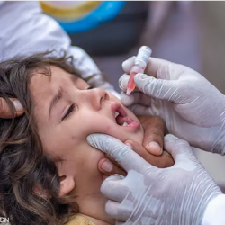 بعد سنوات من المفاوضات .. الأمم المتحدة تعتمد اتفاقية دولية جديدة لمكافحة الجرائم الإلكترونية