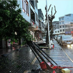 ارتفاع أسعار الذهب في المعاملات الفورية بنسبة 0.4%