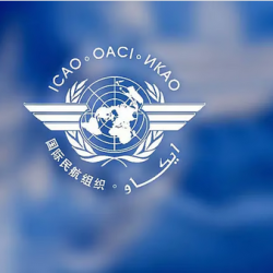 رسمياً.. رونالدو وفيليكس ونيفيز يقودون البرتغال أمام إيرلندا والمجر