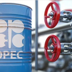 “زاتكا” تدعو المنشآت الخاضعة لضريبة الاستقطاع لتقديم نماذج سبتمبر قبل 12 أكتوبر